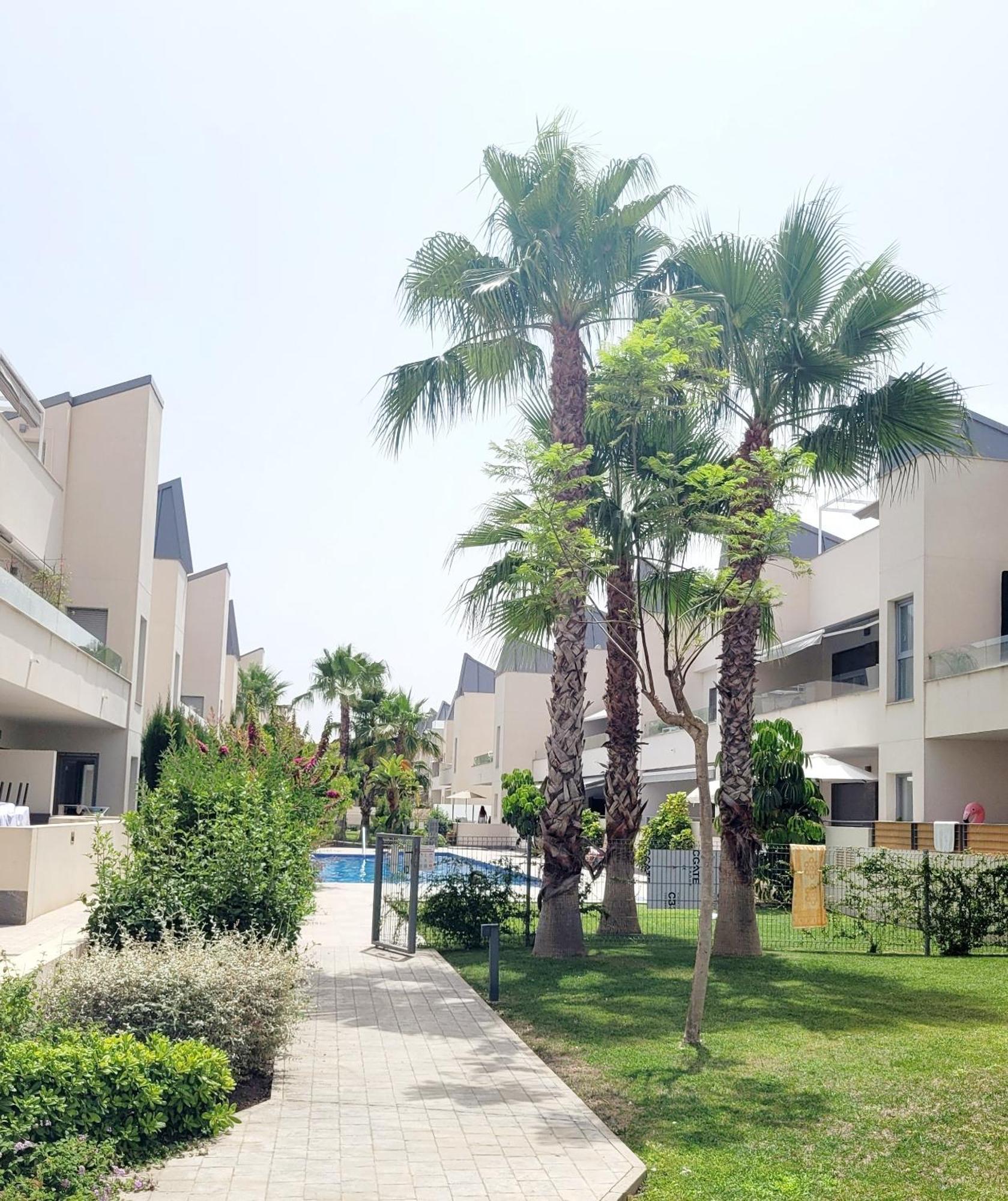 Pmt01 - Modern, Luxury With Heated Pool Apartment Torrevieja Exterior foto